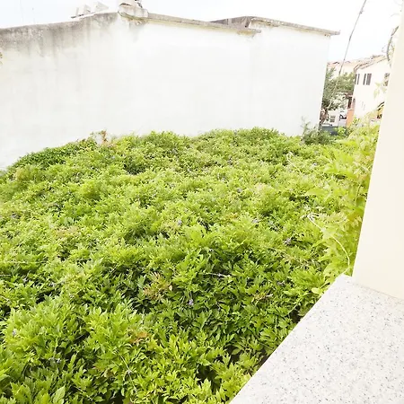 Lovely In Apartament